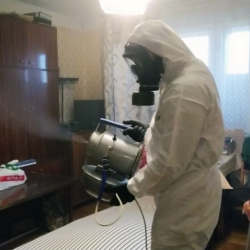 Дезинфекция от клопов в Дне