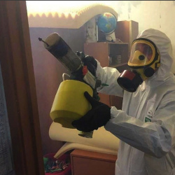 Уничтожение клопов в квартире. Дно